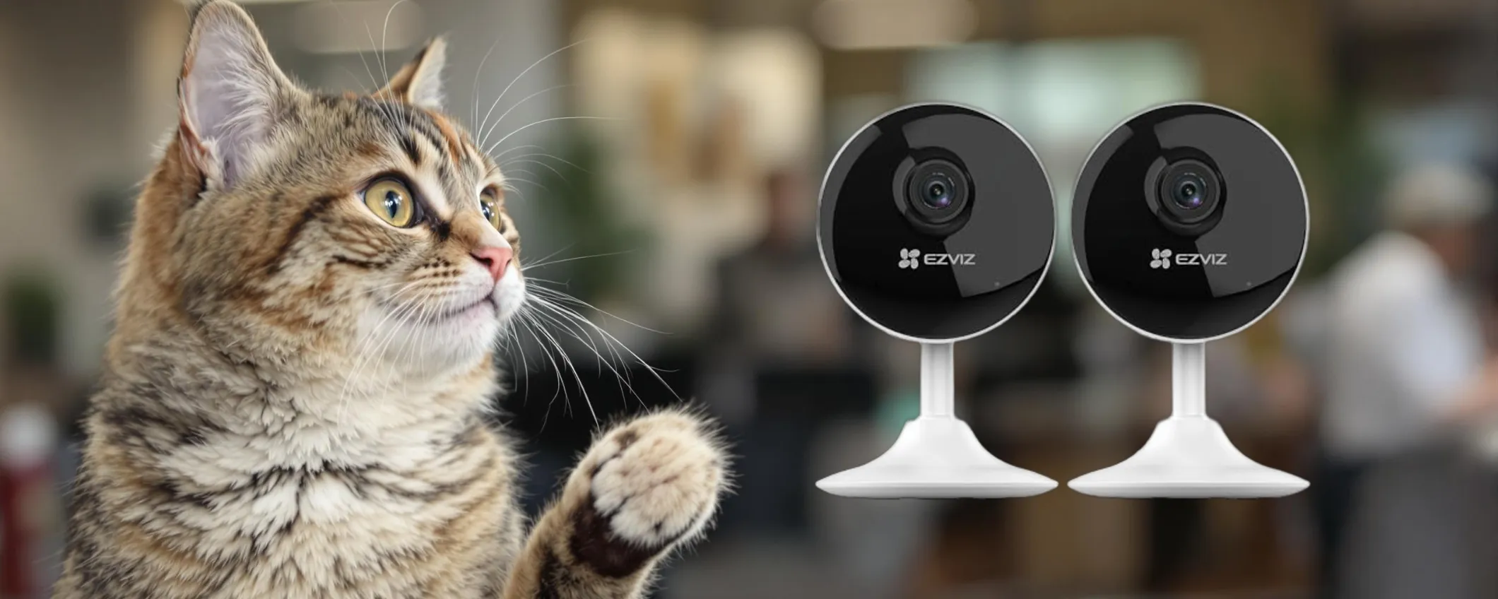 Telecamera WiFi EZVIZ C1C: sicurezza e funzionalità a un prezzo accessibile