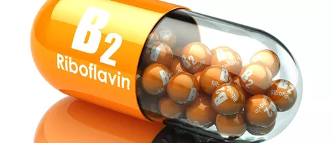 Batterie organiche con molecole di vitamina B2