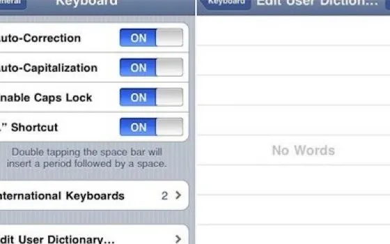 Dizionario personalizzabile su iPhone OS 4.0 beta 4