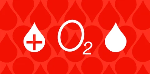iOS 8, nuovi rendering rivelano il funzionamento di Healthbook
