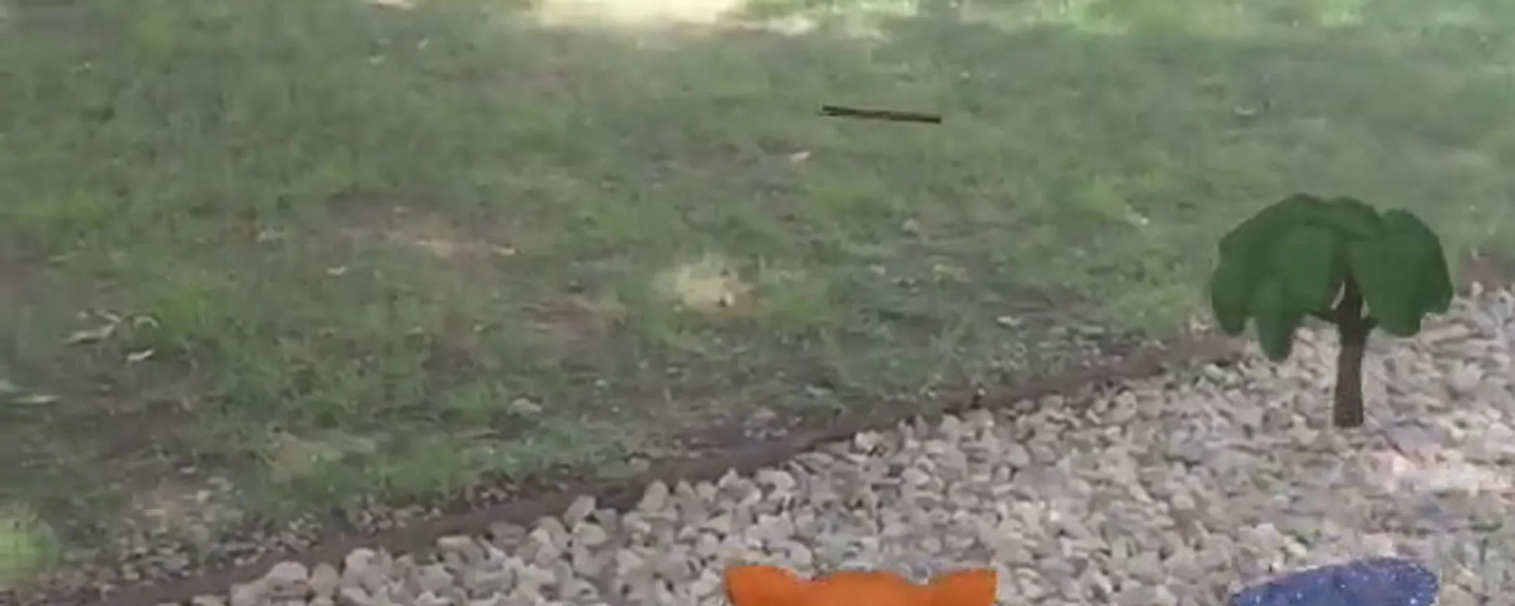 ARkit - Rovr, cane virtuale