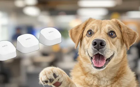 Amazon eero 6: connessione stabile e ampia copertura in offerta