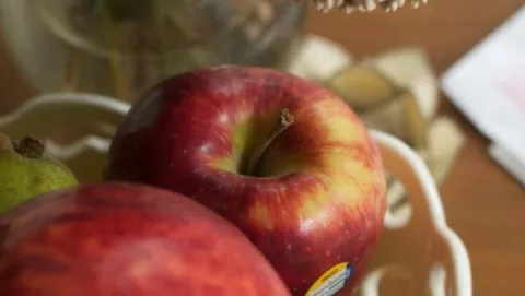 I prodotti Apple nascono su un tavolo da cucina