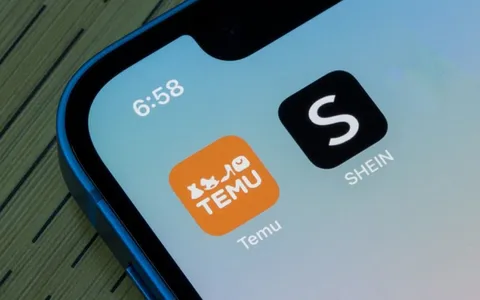 Temu vs Shein: la guerra del fast fashion ha inizio