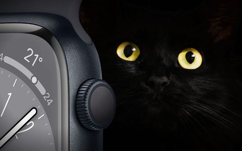 Flessuoso come un felino, l'Apple Watch Series 8 nero scontato per il Prime Day