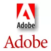 Grazie alla CS3 Adobe sale del 117%