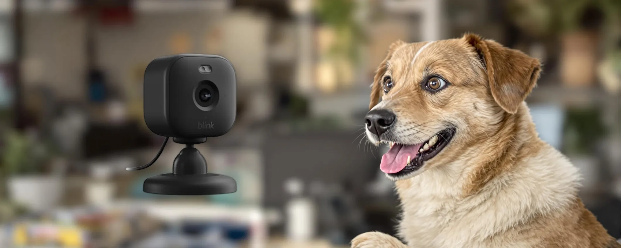 Blink Mini 2: qualità e praticità in offerta a un prezzo accessibile