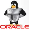 Oracle entra con HP nel mercato hardware