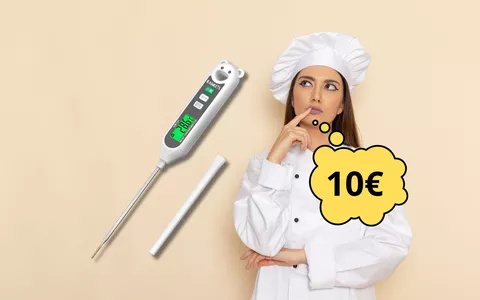 Termometro Cucina Professionale in OFFERTA a soli 10 euro: misura