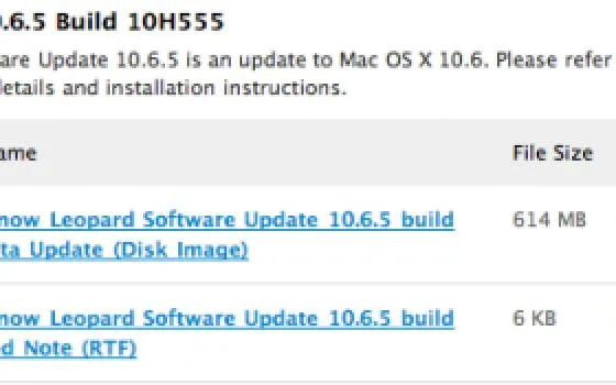 Apple rilascia Mac OS X 10.6.5 build 10H555 agli sviluppatori
