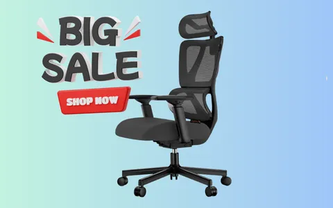 Coupon sconto sulla Sedia ergonomica da ufficio: massimo comfort a spesa minima
