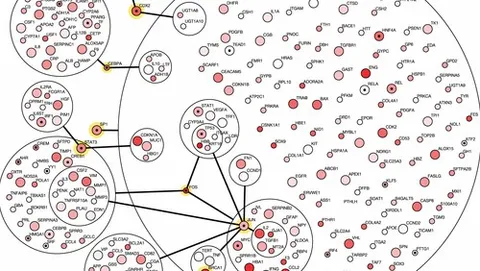Google, un algoritmo per la lotta al cancro