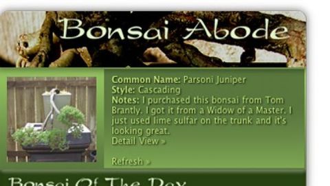 I bonsai in una widget