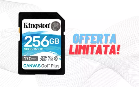 Kingston Scheda SD da 256GB ad un super prezzo: SOLO €20,80