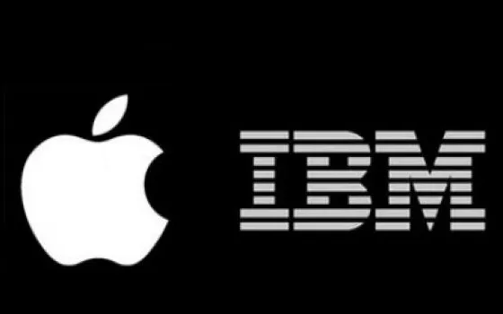 Caso Papermaster: IBM 