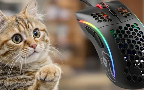 Porta il tuo gaming al livello successivo con il Mouse Glorious a meno di 40€