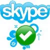 Skype 4.0 alla gold release