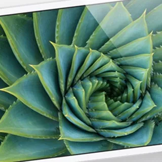 Morgan Stanley promuove iPhone 5 e iPad Mini