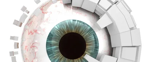 L'occhio bionico che ridà la vista