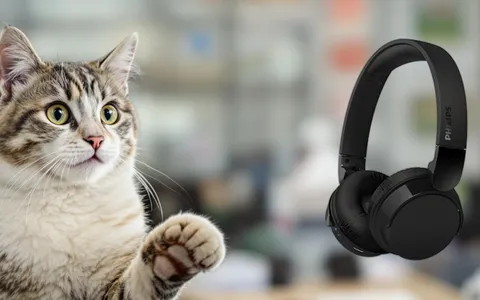 Non farti scappare queste cuffie Bluetooth Philips: qualità e comfort a soli 19,99 euro!