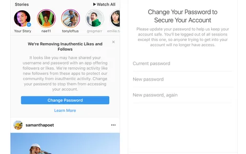 Instagram: è iniziata la cancellazione degli account falsi e delle attività 