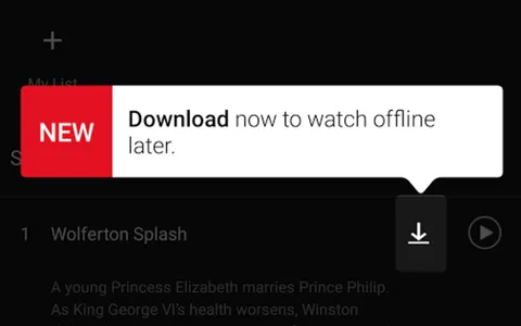 Netlifx, download su iPhone e iPad per la visione offline