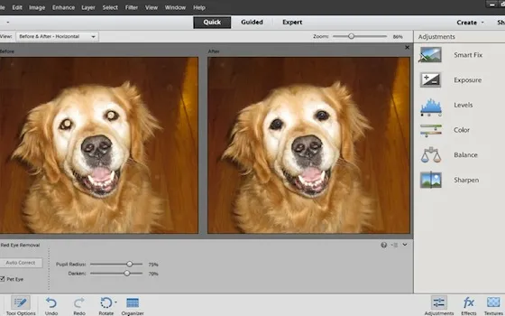 Adobe rilascia Photoshop e Premiere Elements 12 per Mac