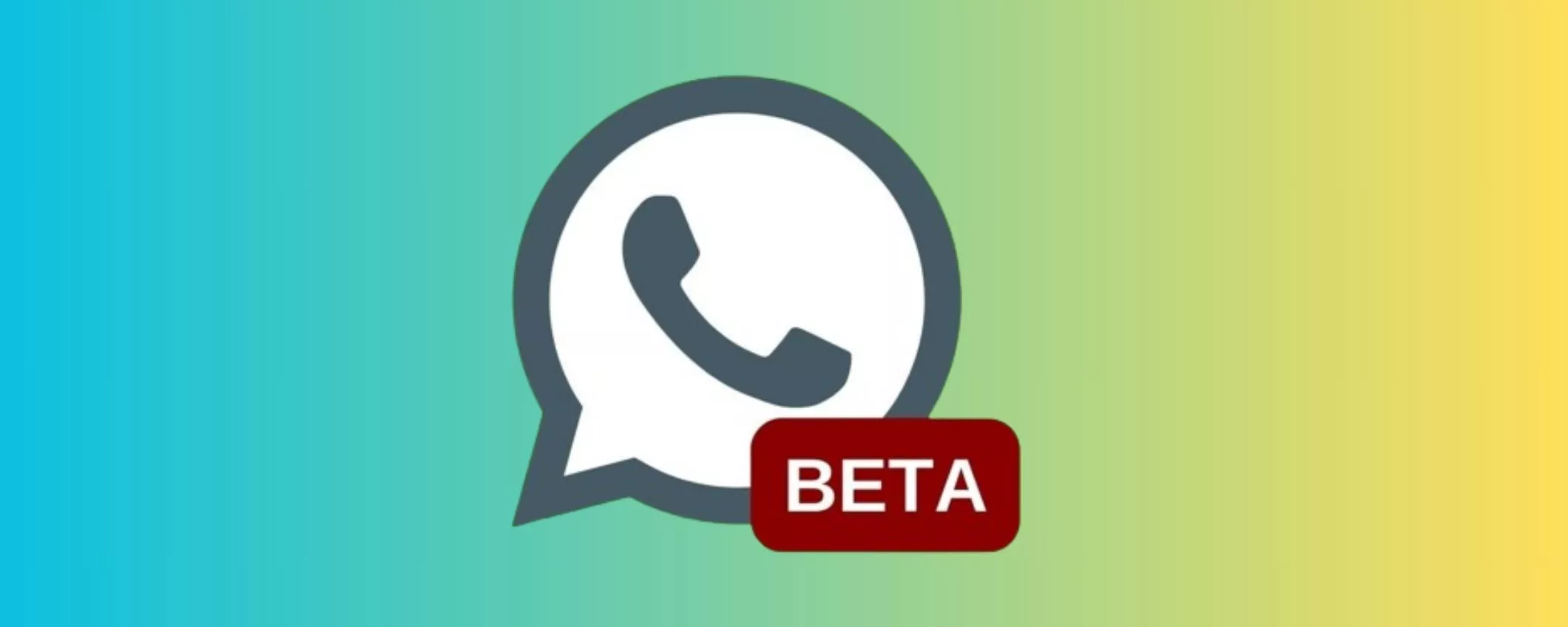 WhatsApp beta: più immediato e facile mandare messaggi video