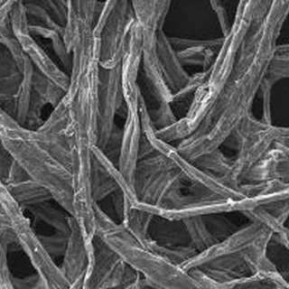 Legno, stagno e sodio per la batteria ecologica