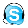 Skype, l'estrema battaglia dei fondatori