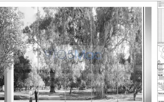 Ancora immagini del nuovo Campus di Cupertino