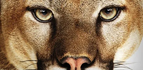 Apple rilancia Lion e Mountain Lion, a pagamento