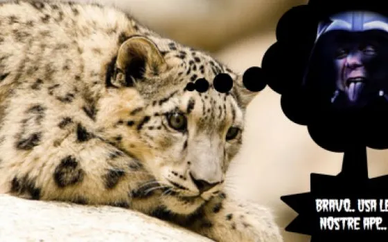 Leopard riconosce un file eseguibile di Windows!