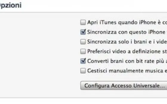 Maggior controllo sulla conversione automatica in iTunes 10.6