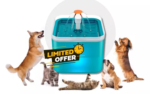 DA NON PERDERE: Fontanella per gatti e cani a soli 16€ per acqua sempre fresca!