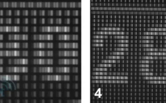 iPhone 4 e iPhone 3G: display al microscopio