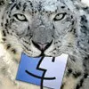 Snow Leopard, un bug cancella tutti i dati
