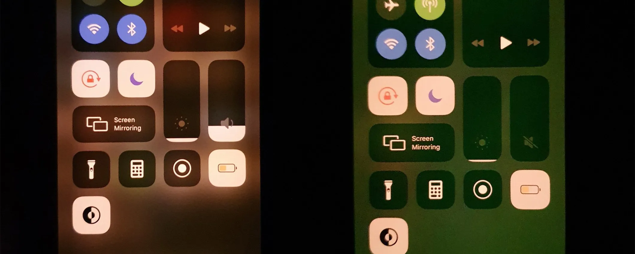 iPhone 11 e 11 Pro, un bug fa diventare verde lo schermo