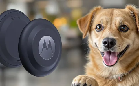 MOTOROLA SMART TAG a soli 19,90€: RISPARMIO ASSOLUTO, precisione garantita!