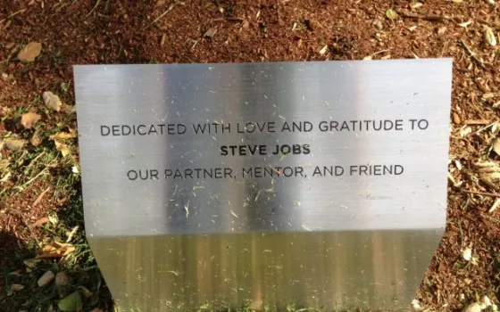 Un albero dedicato a Steve Jobs nel Campus Pixar