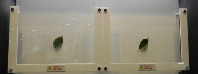Invisible Glass: i riflessi sul vetro sono spariti