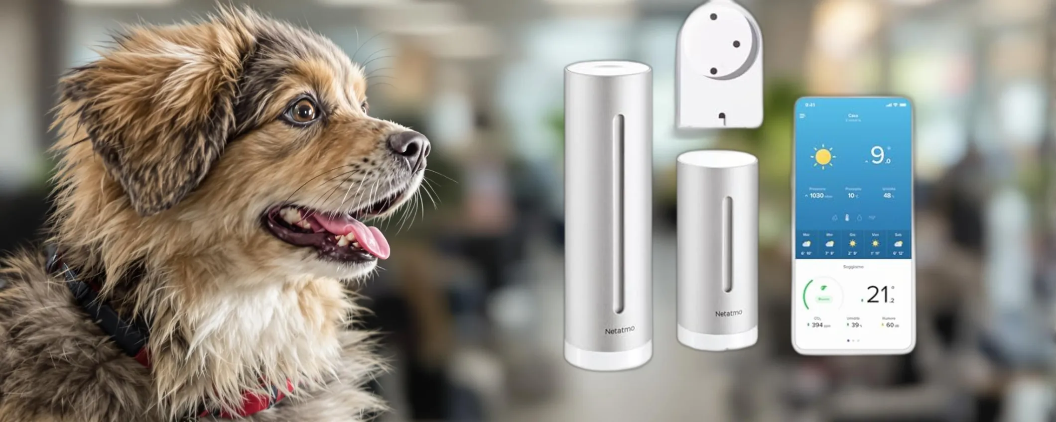 Stazione Meteo Smart Netatmo: sconto pazzesco del 28% su Amazon