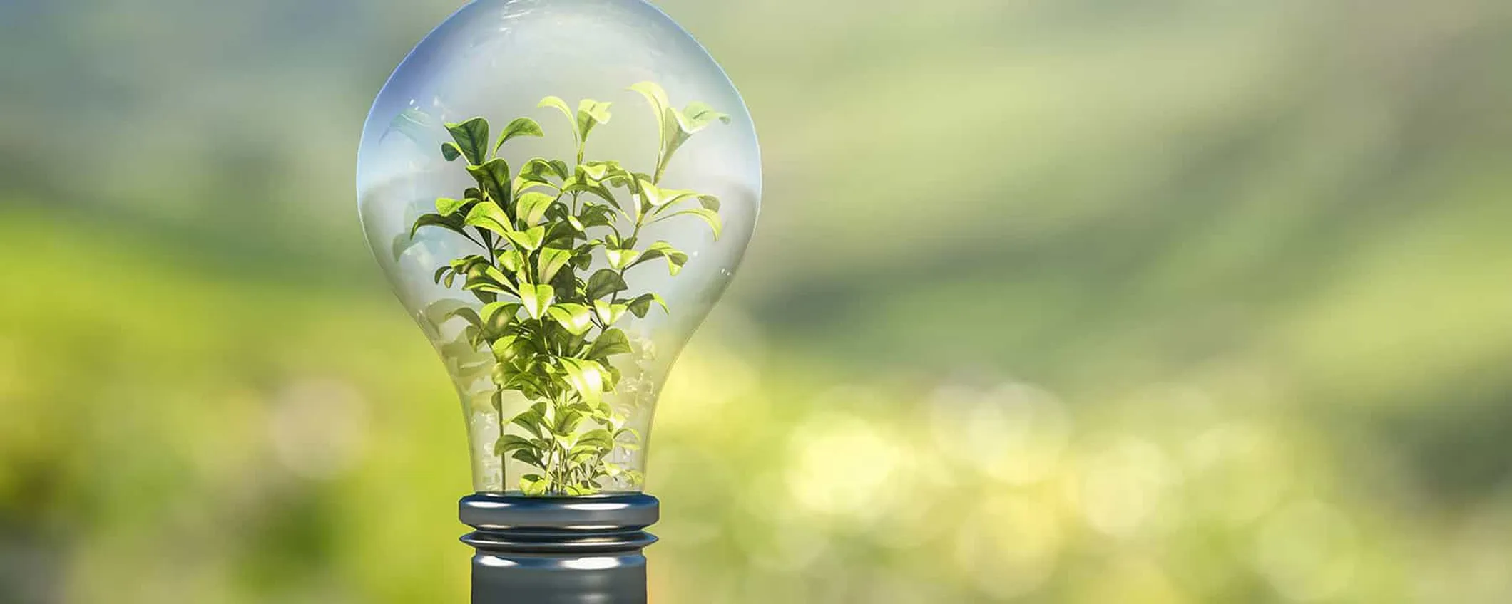M’illumino di Meno: oggi è la Giornata del risparmio energetico e della sostenibilità