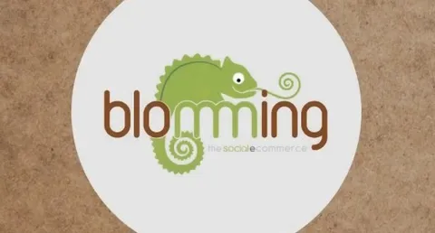 Blomming: su Facebook, con PayPal