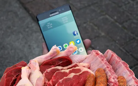 Samsung Note 7 come griglia per carne: la video parodia del Web