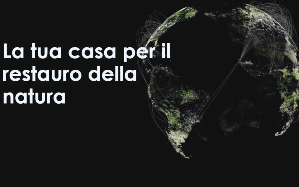 Google lancia Restor, a sostegno del ripristino degli ecosistemi