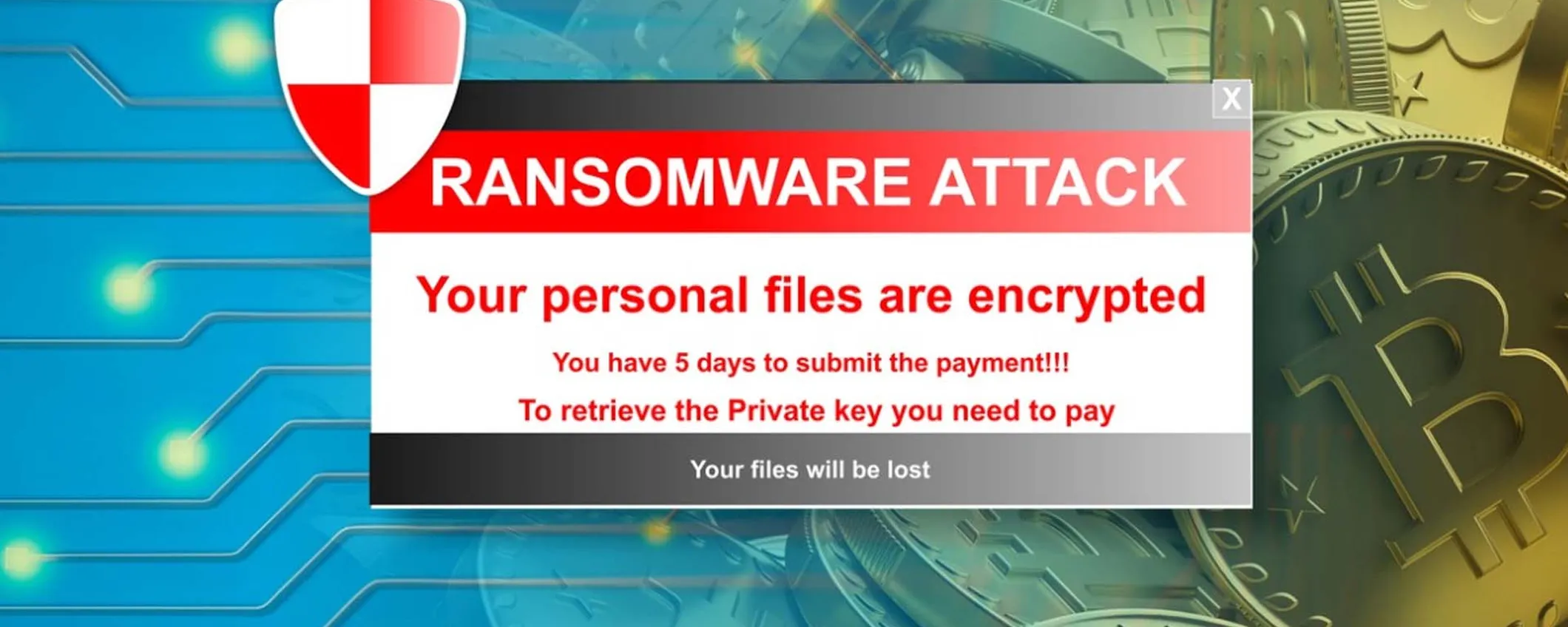Attacco hacker alla SIAE, rubati 60 GB di dati messi in vendita