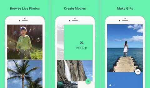 Live Photo a GIF Animata (e stabilizzata) con Google Motion Stills