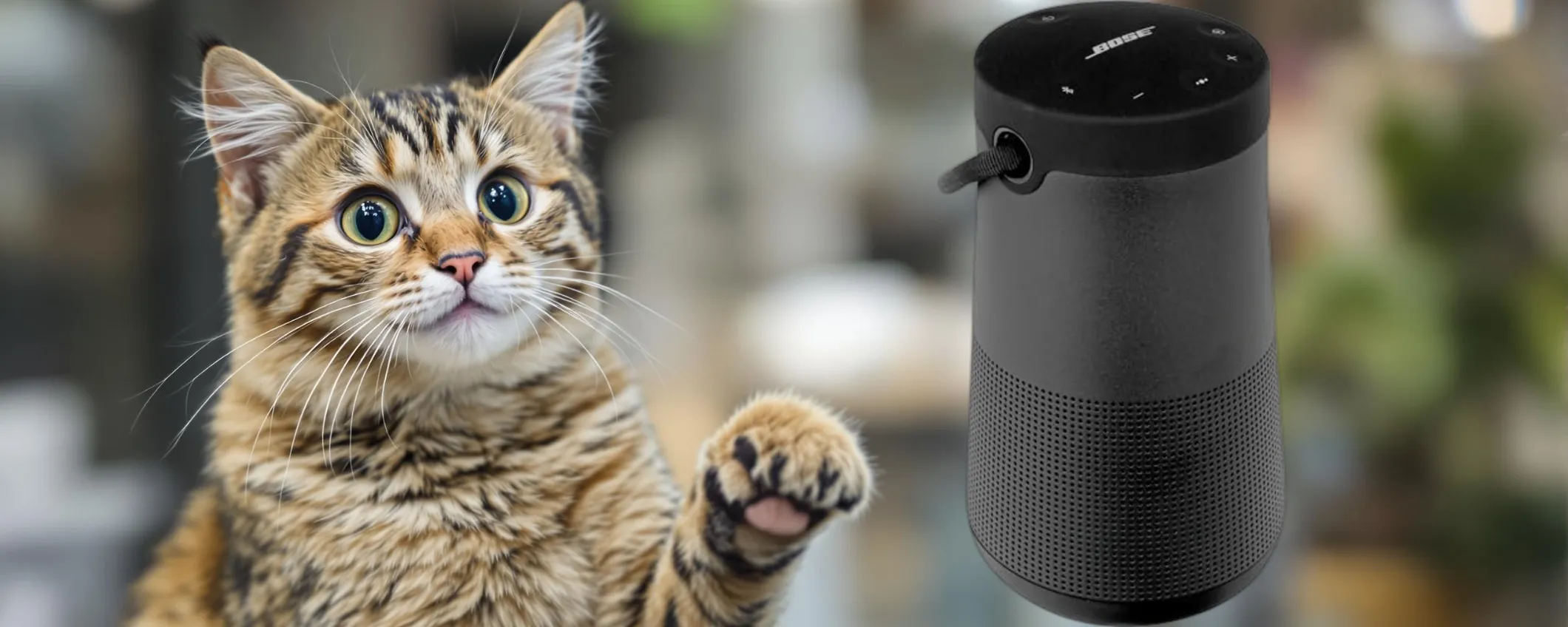 Scopri il diffusore Bose SoundLink Revolve+ II: qualità premium in promo su Amazon