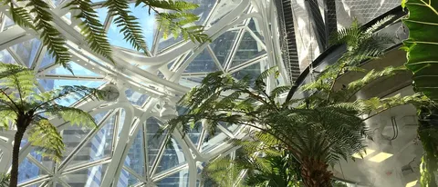 Amazon porta l'ufficio nelle foreste tropicali